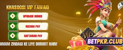 وی آئی پی لاگ ان اور جیتیں